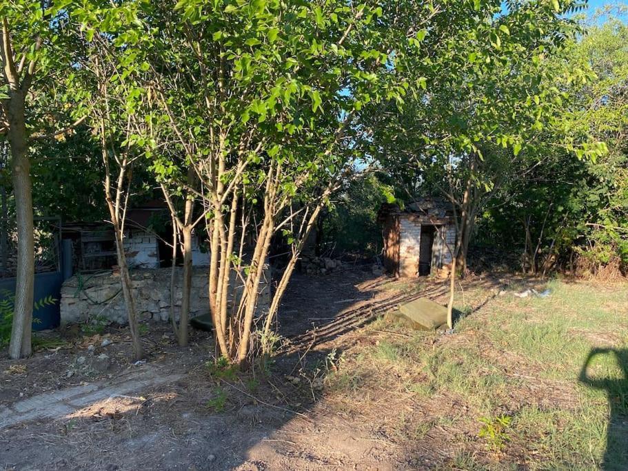Ferienhaus Primorska Sunshine In Strandnaehe Шабла Екстериор снимка