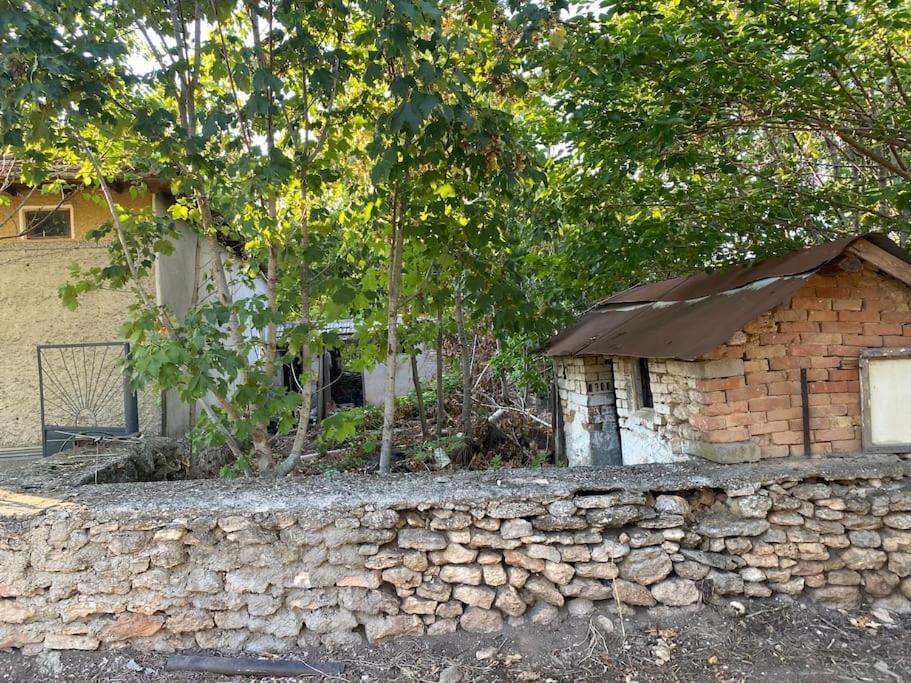 Ferienhaus Primorska Sunshine In Strandnaehe Шабла Екстериор снимка