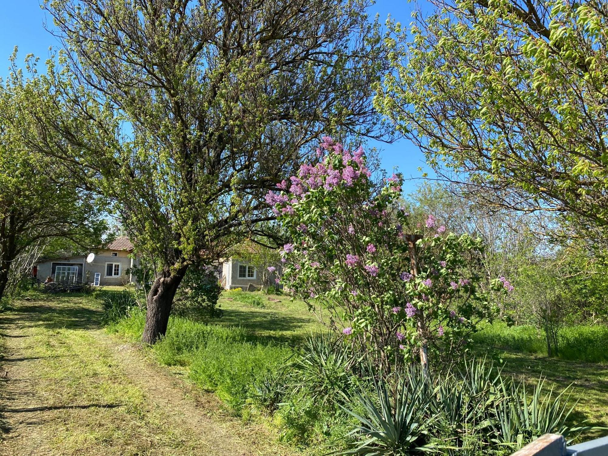 Ferienhaus Primorska Sunshine In Strandnaehe Шабла Екстериор снимка