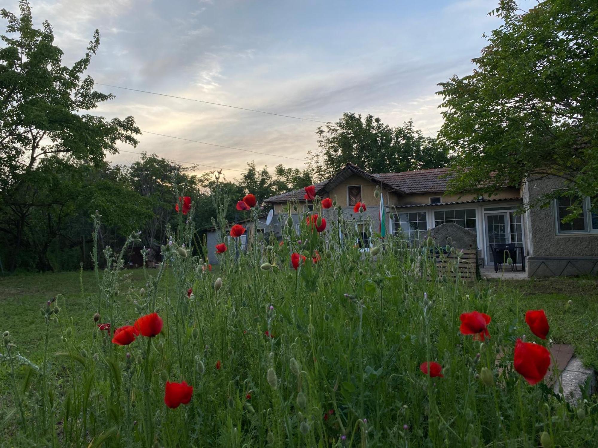 Ferienhaus Primorska Sunshine In Strandnaehe Шабла Екстериор снимка